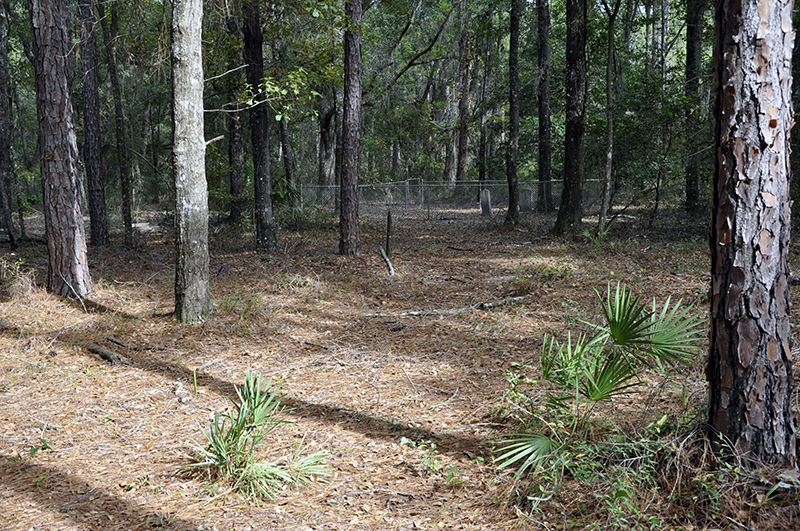 John D Williams Cemetery